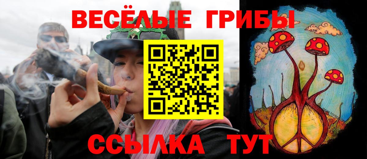 Галлюциногенные грибы Cubensis Гусь-Хрустальный