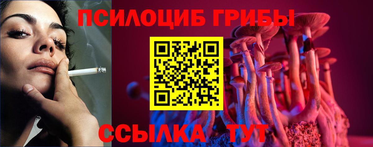 Гусь-Хрустальный  Псилоцибиновые грибы прущие грибы  наркошоп  Вход с VPN 